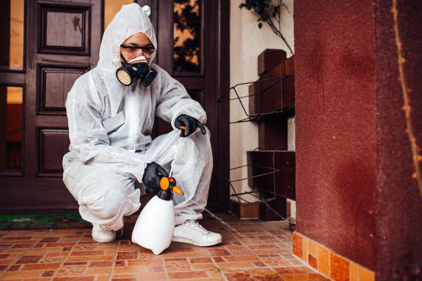 Reliable Cockroach Control contractor in Boonville, MO by Nex Pest Control